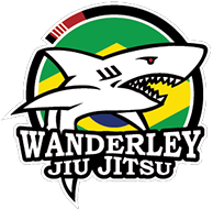 //www.wanderleyjiujitsu.com/wp-content/uploads/2020/10/Wanderley-4Stripes-PNG-Cropped1.png